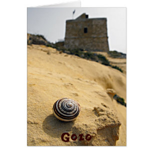 Muschel und Tower, Gozo, Malta