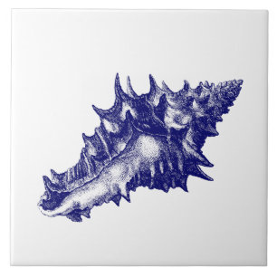 Muschel Vasum Ceramicum Blau & Weiß Fliese