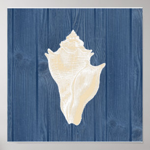 Muschel Vintage Blau Holz Strand Poster