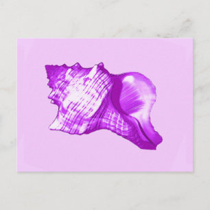 Muschel - violett, weiß und Lavendel Postkarte