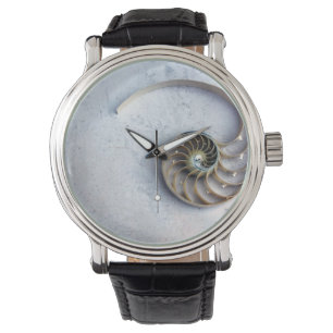 Muschel von Seashell nautilus Armbanduhr