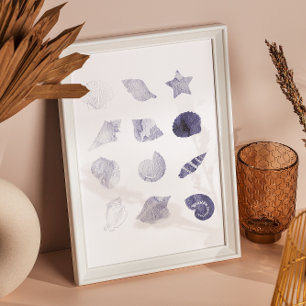 Muschel Wasserfarbenes Meer Kunst Poster