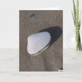 Muschel zur "Sand Condolence Card" Karte