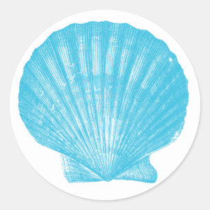 Muschelblaue Muschel-Hochzeits-Seemuschel-Kamm Runder Aufkleber