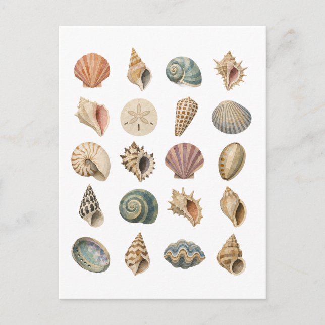 Muschelcollage Postkarte (Vorderseite)