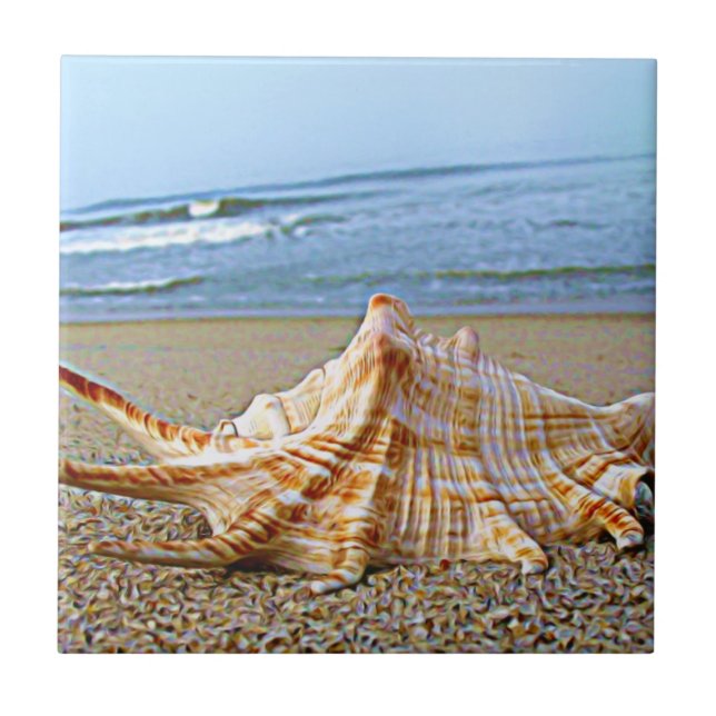 Muschelfliese Fliese (Vorderseite)