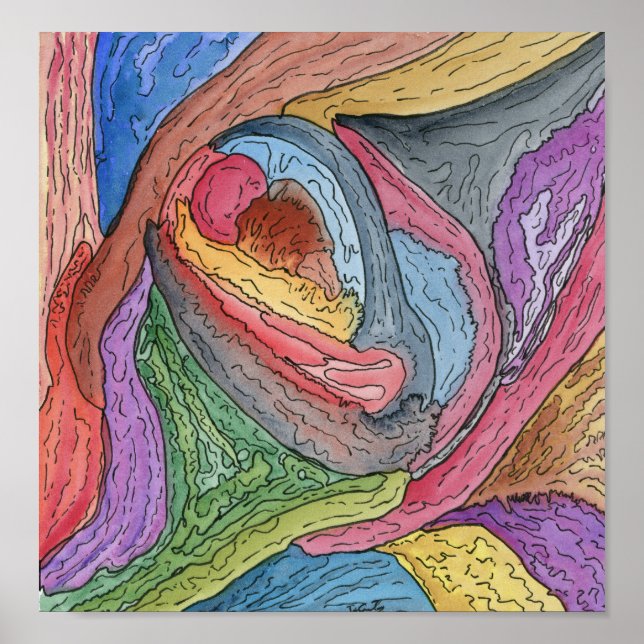 Muschelhand Poster (Vorne)