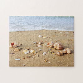 Muschelkollektion Puzzle