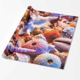 Muscheln 1 Alt Geschenkpapier