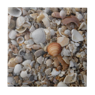 Muscheln am Meer Fliese