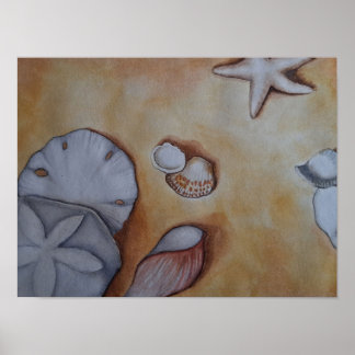 Muscheln am Meer Poster