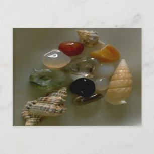 Muscheln am Meer Postkarte