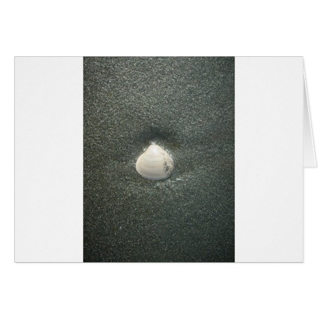 Muscheln am Meeresufer Hakuna Matata.JPG (Vorderseite (Horizontal))