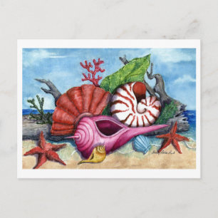 Muscheln am Strand Anstrich Postkarte