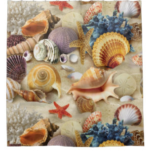 Muscheln am Strand Duschvorhang