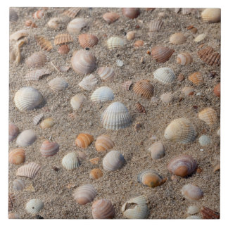 Muscheln am Strand Fliese