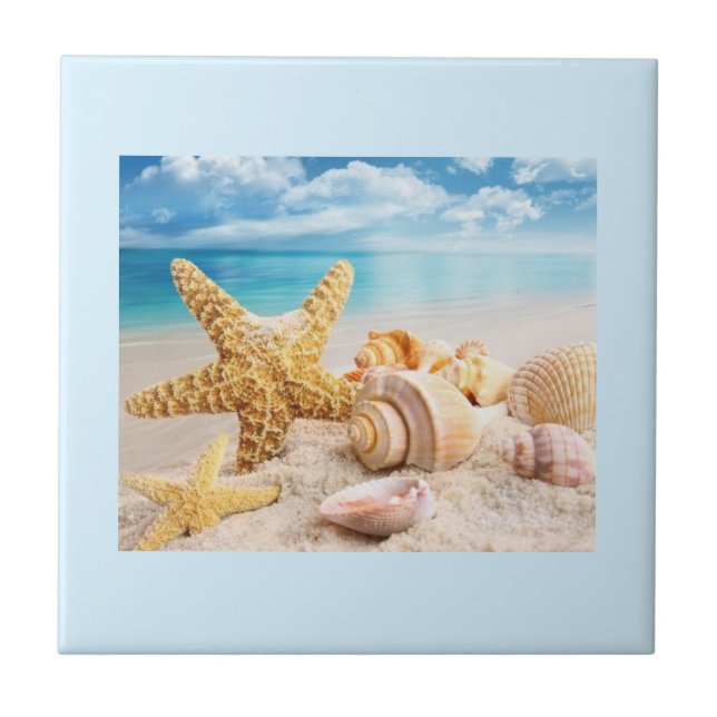 Muscheln am Strand Fliese (Vorderseite)
