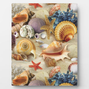 Muscheln am Strand Fotoplatte