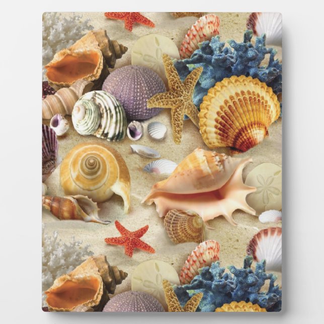 Muscheln am Strand Fotoplatte (Vorderseite)
