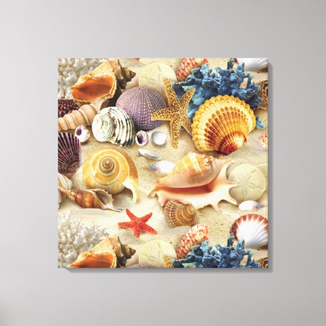 Muscheln am Strand Leinwanddruck (Vorderseite)