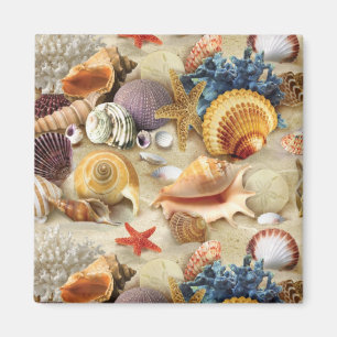 Muscheln am Strand Magnet