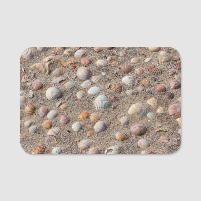 Muscheln am Strand Namensschild (Vorderseite)