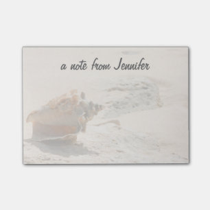 Muscheln am Strand Post-it Klebezettel