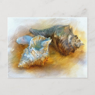 Muscheln am Strand Postkarte