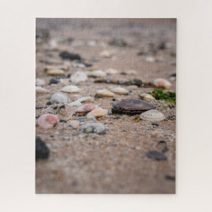 Muscheln am Strand Rätsel Puzzle