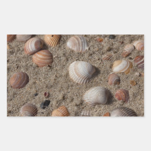 Muscheln am Strand Rechteckiger Aufkleber