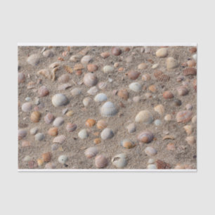 Muscheln am Strand Seidenpapier