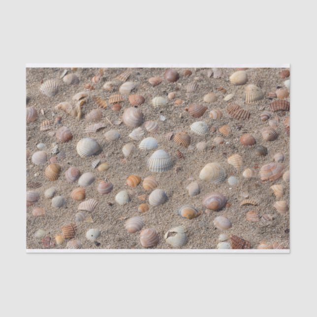Muscheln am Strand Seidenpapier (Vorderseite)