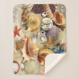 Muscheln am Strand Sherpadecke