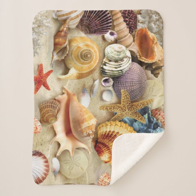Muscheln am Strand Sherpadecke (Vorderseite)