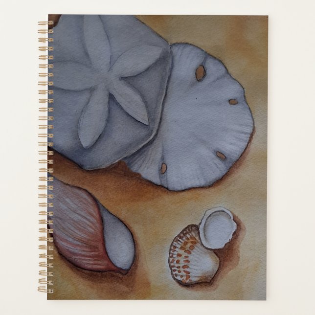 Muscheln an der Küste Aquarellbilder Planer (Vorderseite)