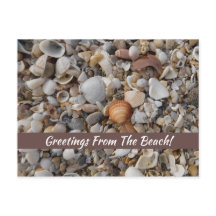 Muscheln an der Meeresküstenkarte