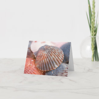 Muscheln-Anmerkungs-Karte Karte
