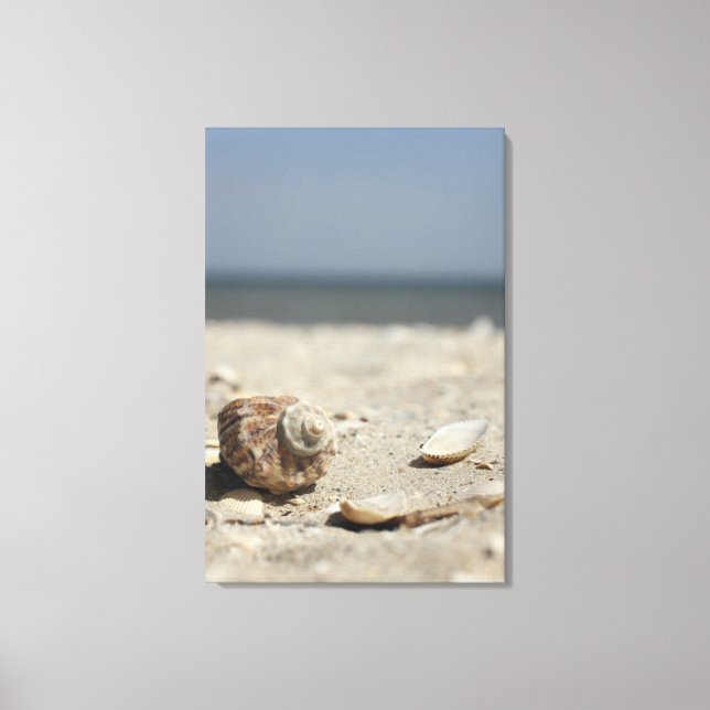 Muscheln auf dem Sand am Meer Leinwanddruck (Vorderseite)