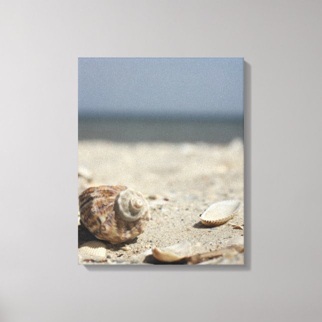 Muscheln auf dem Sand am Meer Leinwanddruck (Vorderseite)