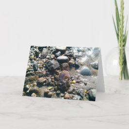 Muscheln auf dem Strand Karte