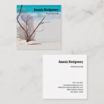 Muscheln auf einem Sandy Beach Foto