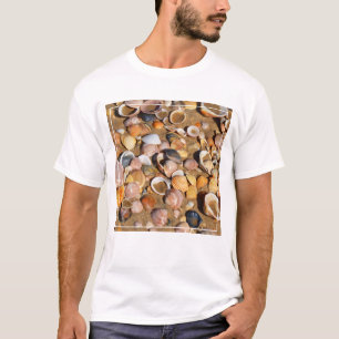Muscheln auf einem Sandy-Strand Andalusien, T-Shirt