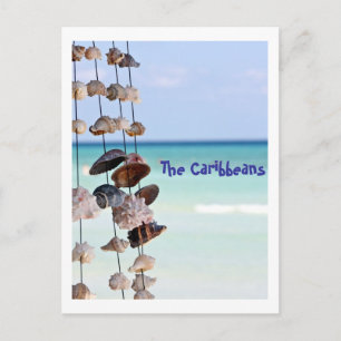 Muscheln auf Meeresgrund Postkarte