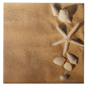 Muscheln auf Sand Fliese