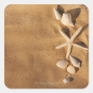 Muscheln auf Sand Quadratischer Aufkleber