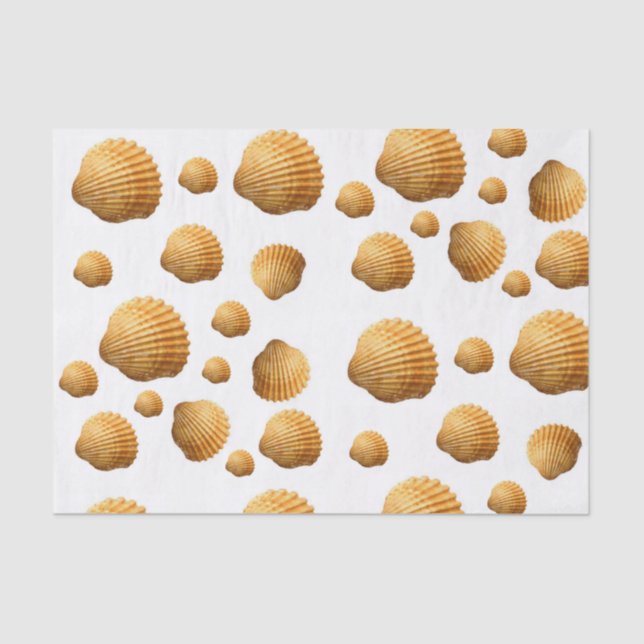 Muscheln aus dekorativem Gewebe Seidenpapier (Vorderseite)