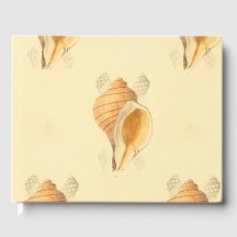 Muscheln Beach Art Design helle Sonne