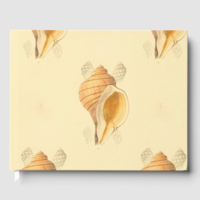Muscheln Beach Art Design helle Sonne Gästebuch (Vorderseite)
