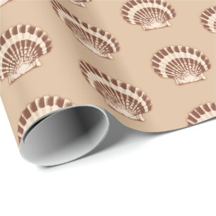 Muscheln - braun und beige geschenkpapier