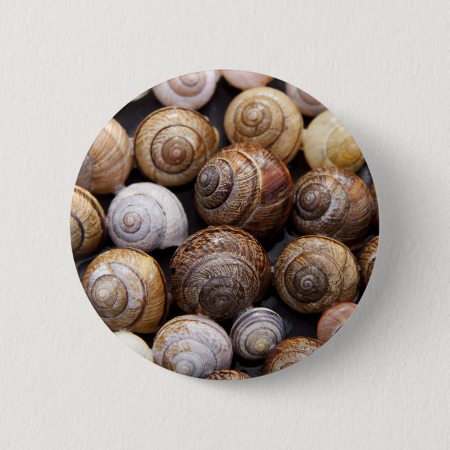 Muscheln Button (Vorderseite)